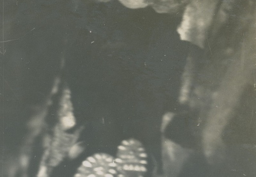 08 Luke Devenish in hole